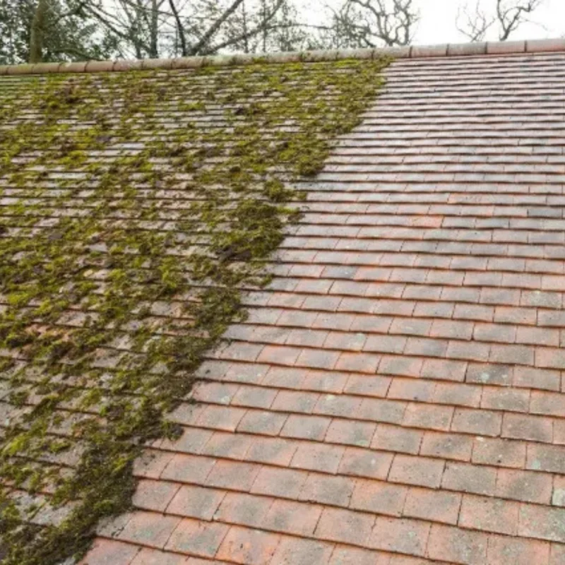 Roof demossing Mordialloc , roof demossing noble park