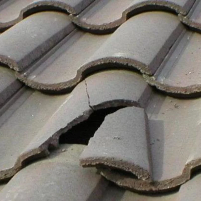 roof tile repair blackrock
