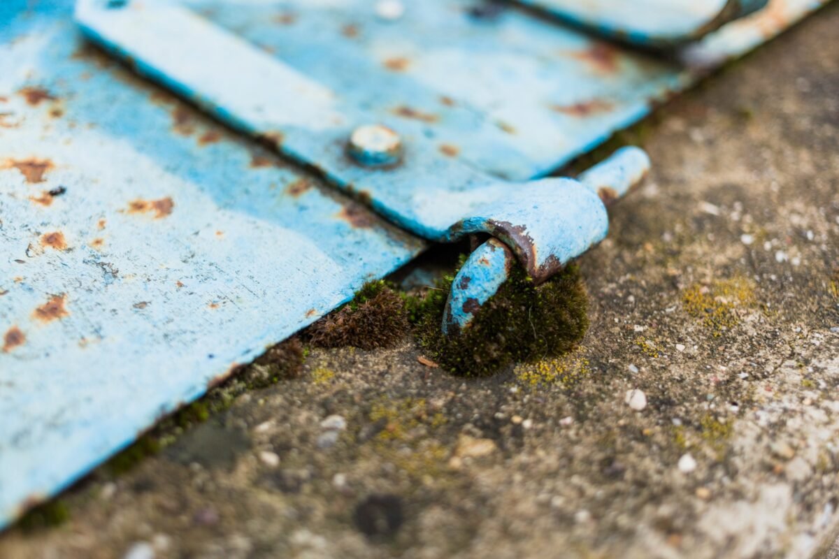 Roof Cleaning Brighton East - Stormproof Roofing