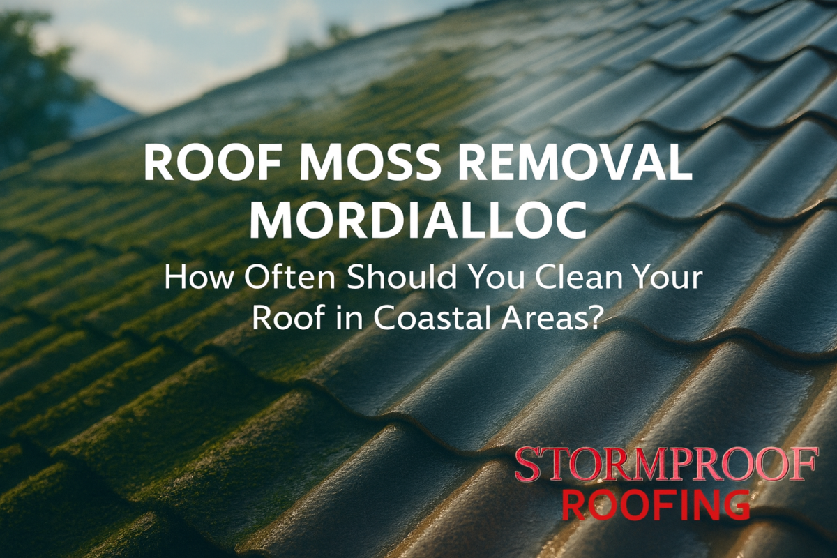 Roof Moss Removal Mordialloc - Stormproof Roofing